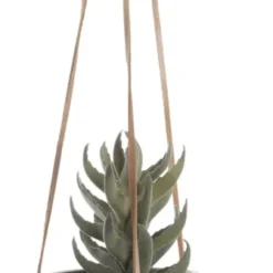 PRESENT TIME Hängetopf Skittle15 X 13,5 Cm Keramik Grün -Angebote Gourmet Kueche Store d45225b056f7d29ab73bac1d6c66828a